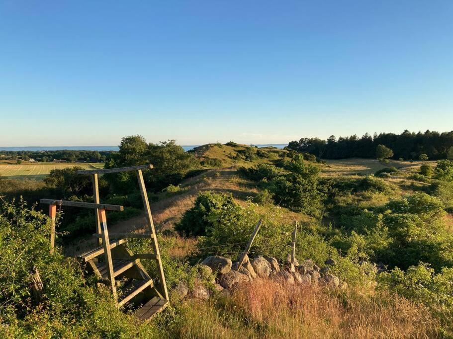 Ferienwohnung Fin Laegenhet Mitt Pa Bjaerehalvoen Båstad Exterior foto